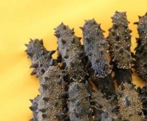 干海参的保质期多长时间 干海参的保质期多长时间最好