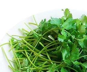 香菜的功效与作用有哪些（香菜的功效与作用有哪些坏）