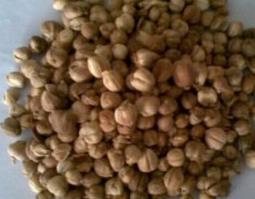 白豆蔻的功效和作用 白豆蔻的功效作用禁忌