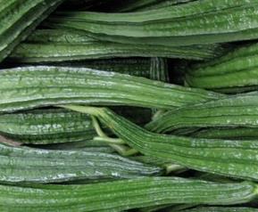 八棱瓜有什么功效（八棱瓜有什么功效与作用）