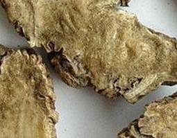 川芎的功效与作用图片（川芎的功效与作用图片及禁忌）