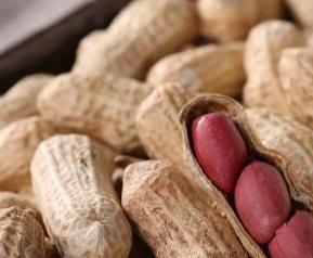 花生的功效与作用有哪些 花生的功效与作用有哪些?百度知道