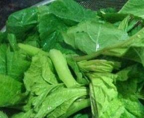 冬苋菜的功效 冬苋菜的功效与禁忌相克