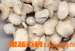 中药白芍的功效与作用 中药白芍的功效与作用点及副作用