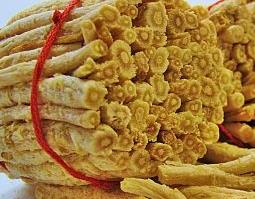 南沙参的功效与作用（南沙参的功效与作用与主治）