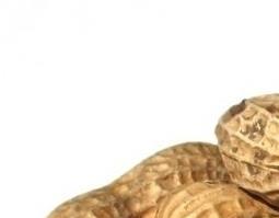 吃生花生有什么好处(女人吃生花生有什么好处)