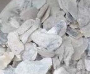 煅牡蛎的功效与作用及禁忌（煅牡蛎的功效与作用及禁忌副作用食用方法?）