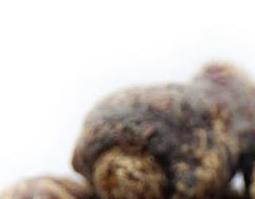 玛卡药用价值 玛卡药用价值和功效