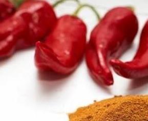 辣椒素对身体有害吗（辣椒素有营养吗）