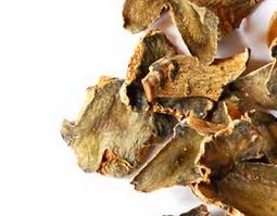 当归片可以泡水喝吗 当归片可以泡水喝吗 有什么功效