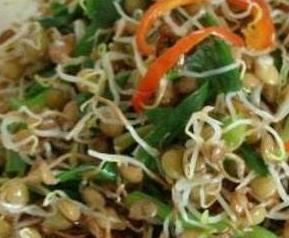 扁豆芽怎么吃 扁豆芽可以吃吗