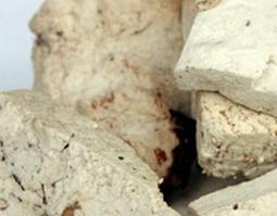 茯神的功效作用与营养价值（茯神的主要功效）