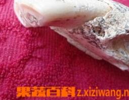 龙齿的功效与作用简介 龙齿的功效和作用是什么?