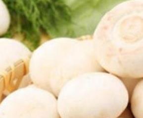 白蘑的药用价值 白蘑菇的药用功效