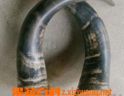 吃水牛角有什么好处