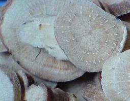 生白芍有哪些功效与作用（生白芍有哪些功效与作用禁忌）