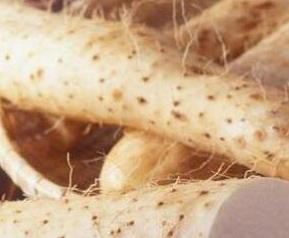 生山药的作用与功效（生山药的作用与功效）