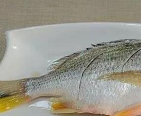 黄翅鱼有什么功效 黄翅鱼有什么功效和作用