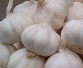 吃大蒜的好处有哪些（常吃大蒜的好处）
