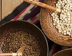 吃补气血中药的禁忌（吃补气血中药的禁忌有哪些）