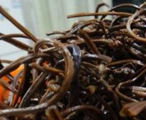 蕨菜干的功效与作用 蕨菜干的功效与作用及食用方法