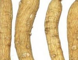 生晒参的功效与作用(生晒参的功效与作用和人参的区别)