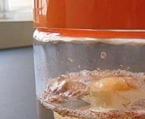 醋蛋液的功效与作用（隆力奇醋蛋液的功效与作用）