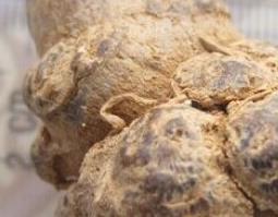 三七粉的正确吃法 三七粉的正确吃法用量