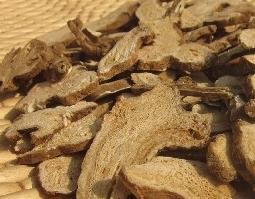 白术的功效与作用及食用方法（当归白术的功效与作用及食用方法）