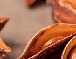 八角茴香的功效与作用(八角茴香的功效与作用的功能与主治)