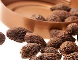 胖大海的药用功效与作用（胖大海的药用功效是什么）