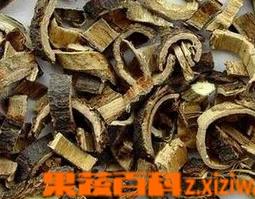 合欢皮功效与作用（合欢皮功效与作用及禁忌、副作用）