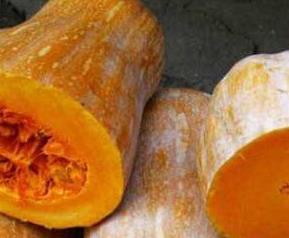 蜜冠南瓜的营养价值（蜜本南瓜营养价值）