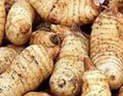 天麻有哪些功效与作用(天麻有哪些功效与作用)