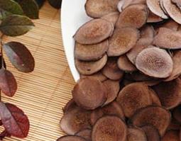 中药鹿茸片的功效与作用 中药饮片鹿茸的功效