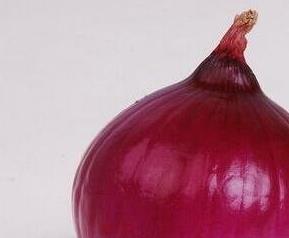 圆葱与洋葱有区别吗 圆葱与洋葱有区别吗