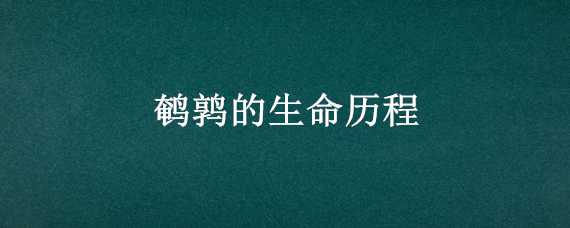 鹌鹑的生命历程 鹌鹑的生命历程图片