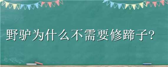 野驴为什么不需要修蹄子（野驴野马蹄子用修吗?）