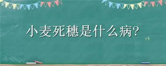 小麦死穗是什么病 小麦死穗是什么原因