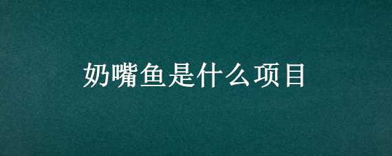 奶嘴鱼是什么项目 奶嘴鱼是啥