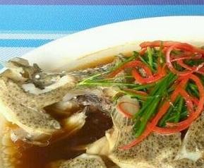 多宝鱼的功效与作用（多宝鱼的功效与作用图）