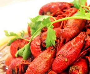 龙虾的营养价值与功效 龙虾的营养价值与功效与作用
