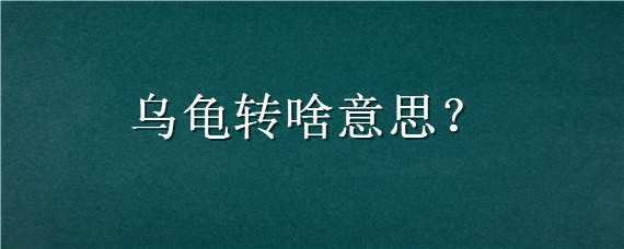 乌龟转啥意思（乌龟经常翻过去是什么意思）