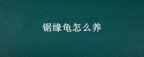 锯缘龟怎么养 锯缘龟怎么养?