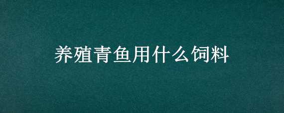 养殖青鱼用什么饲料 养殖青鱼用什么饲料好