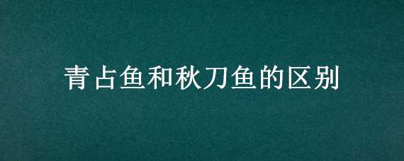 青占鱼和秋刀鱼的区别 青占鱼和秋刀鱼的区别在哪里