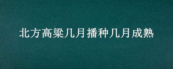 北方高粱几月播种几月成熟（高粱几月份成熟?）