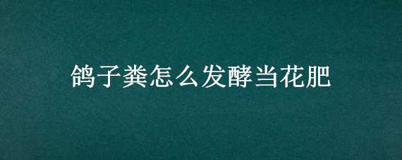 鸽子粪怎么发酵当花肥 鸽子粪做肥料养花如何