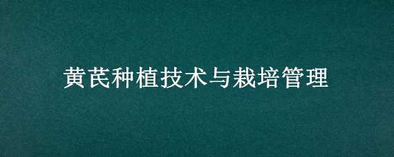 黄芪种植技术与栽培管理 黄芪种植技术与栽培管理视频