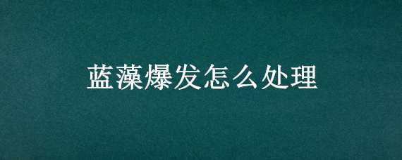 蓝藻爆发怎么处理 如何防治蓝藻爆发